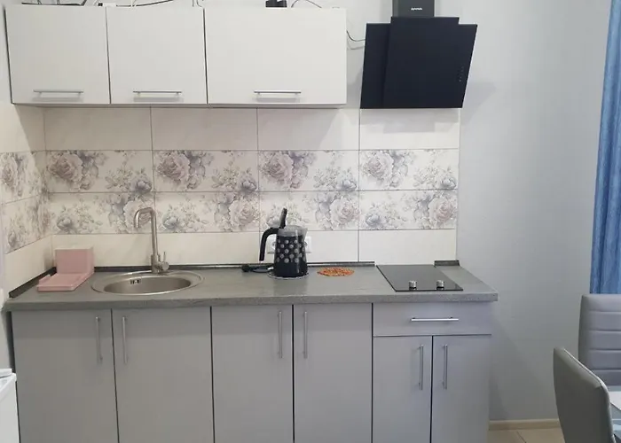 Apartment In Truskavets
